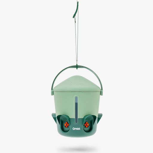 Hangar på vit bakgrund salvia grön