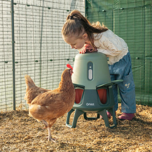 Little girl watching a hen from behind the Omlet automatic chicken feeder