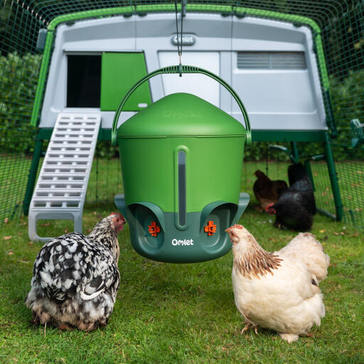 hanging chicken waterer in an eglu pro coop run