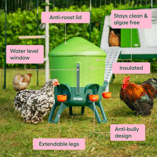 large insulated chicken waterer features and usps