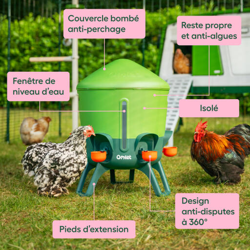 Caractéristiques et avantages de l'abreuvoir isolé de grande taille pour poulets