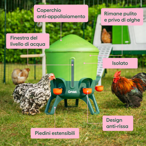 Caratteristiche e vantaggi dell'abbeveratoio isolato di grandi dimensioni per polli