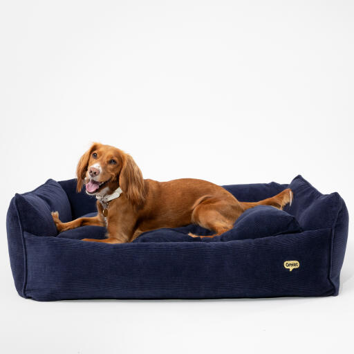 Nest dog bed in corduroy navy