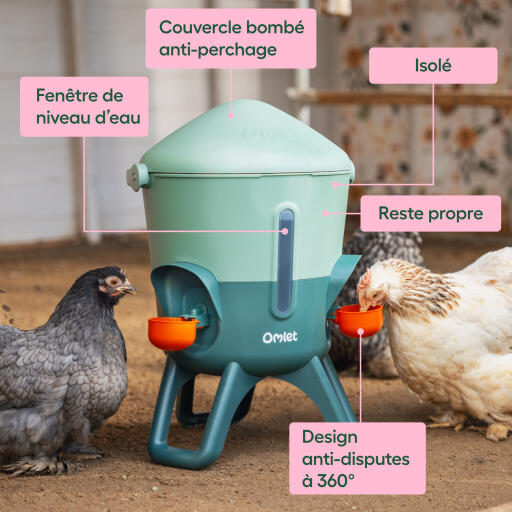 Omlet caractéristiques et avantages de l'abreuvoir isolé