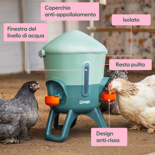 Omlet caratteristiche e vantaggi dell'abbeveratoio isolato