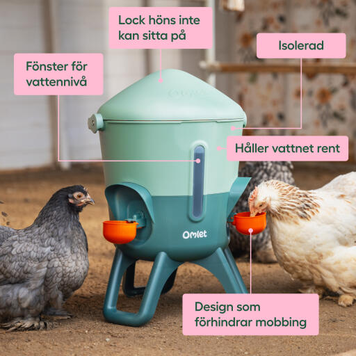 Omlet isolerade bevattningsanläggningar egenskaper och fördelar