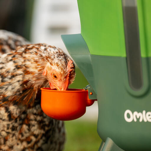 Your Omlet insulated waterer comes with both cups and nipples