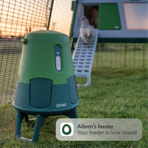 Notification that the automatic chicken feeder is now closed