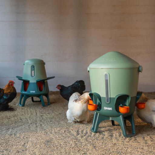 Smart chicken feeder with insulated chicken waterer