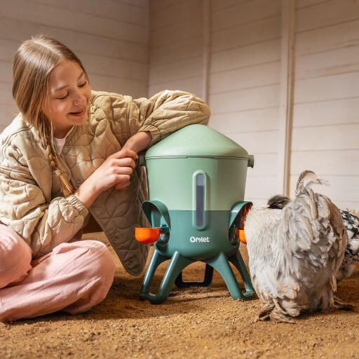 Omlet insulated waterer has a sturdy construction
