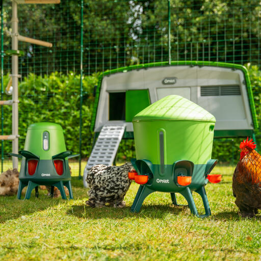 upgrade your chicken coop with the omlet range of chicken waterers and feeders
