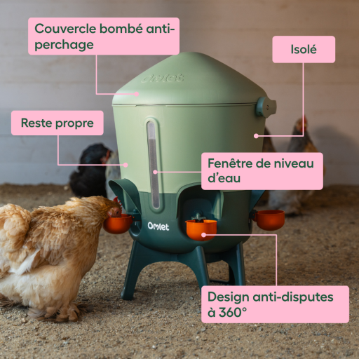 Abreuvoir à poulets isolé usps