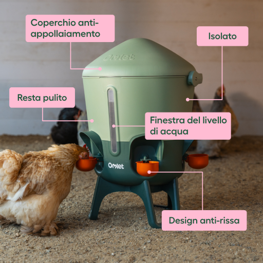 Abbeveratoio per polli isolato usps