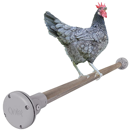 chicken perch toy omlet