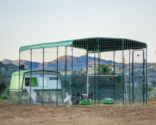 Omlet Eglu pro chicken coop with walk in run