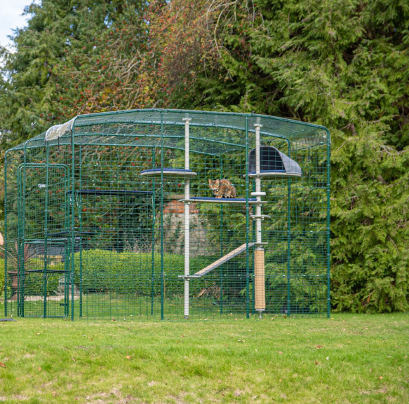 The Omlet catio enclosure against a background of trees