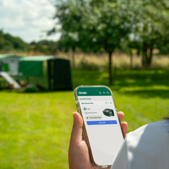 A woman holding her phone in front of the Eglu pro chicken coop showing her Omlet app screen