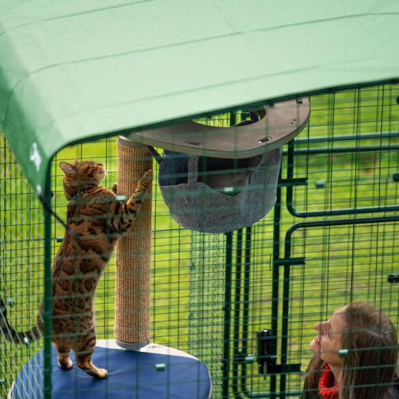 The hevay duty cover attached to the top of the Omlet catio enclosure with a cat and a woman underneath playing