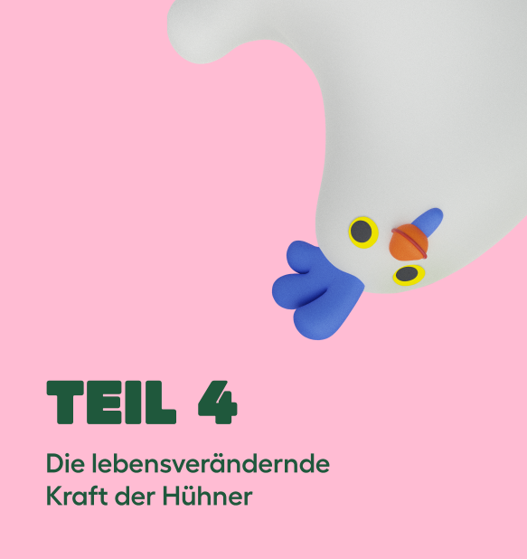 Hühnerhaltung landing page galerie karussell teil 4
