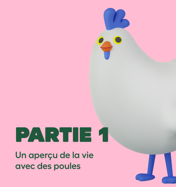 Page d'atterrissage de l'élevage de poulets galerie carrousel partie 1