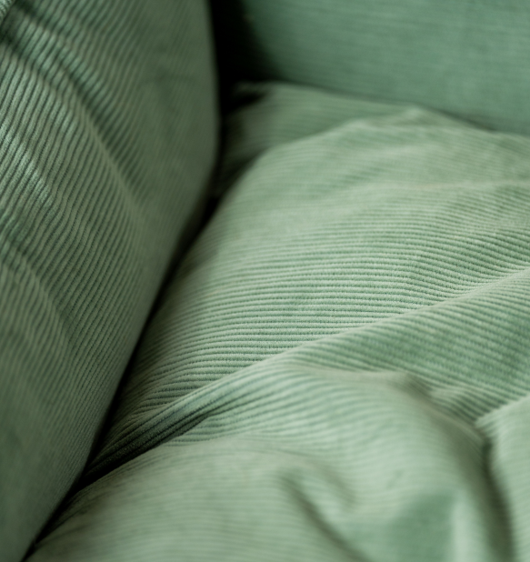Nest Bed Dog Card Image - Green whichever print you pick