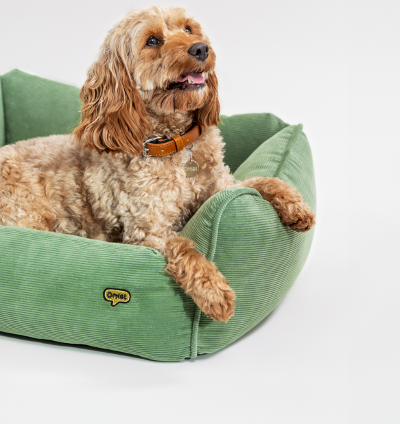 nest bed dog card image - travel together