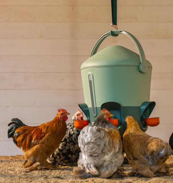 Vandingsanlæg på ophængskort