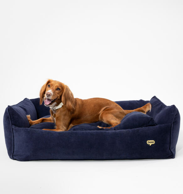 Space-to-stretch-nest-dog-bed-db