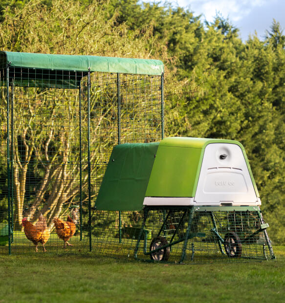 Eglu Go chicken coop attached to walk in run