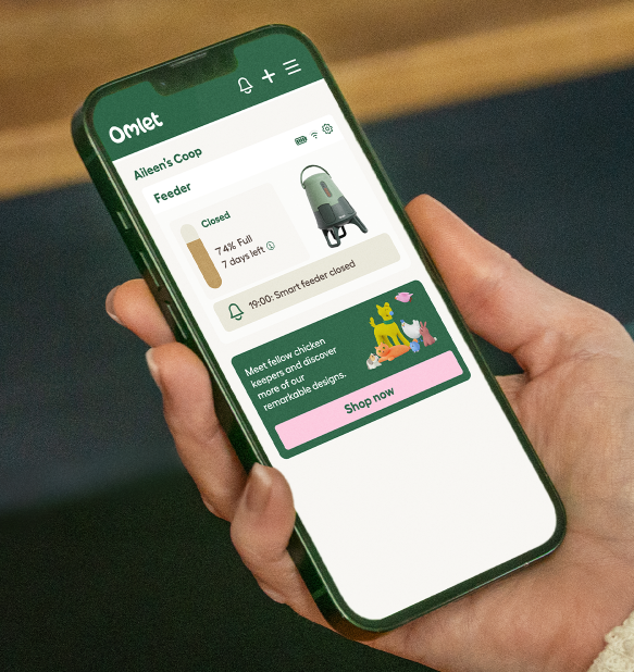 omlet app screen with live notifications