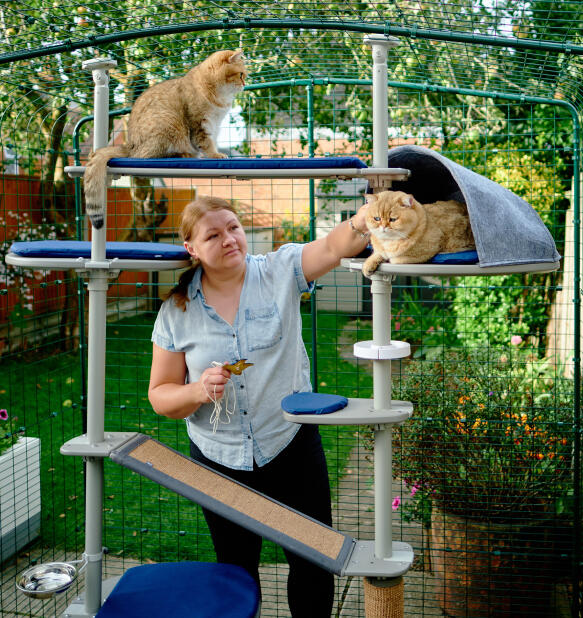 A woman standing in the catio enclosure with her two cats