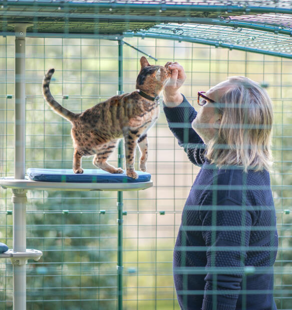 A man petting his bengal cat inside of the Omlet catio enclosure