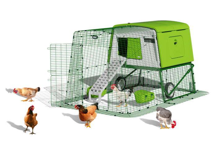 Eglu Cube large portable chicken coop