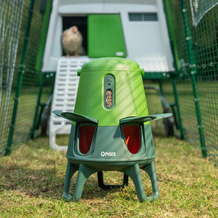Smart no waste chicken feeder