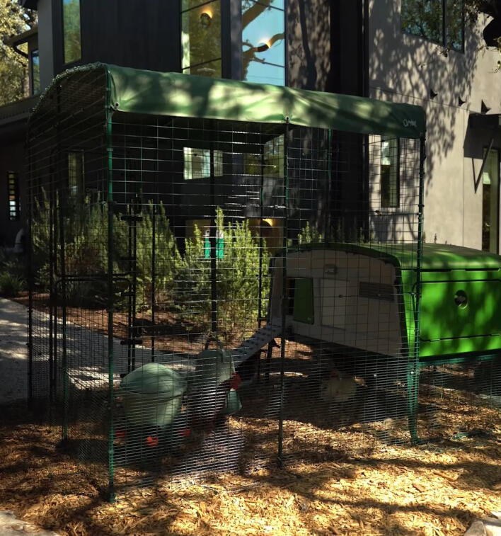 Whole home roundup square thumbnail