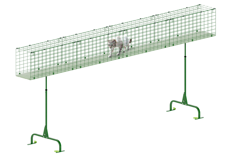 Chat dans le Omlet système de tunnels pour chats