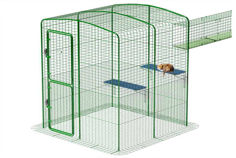 Chat à l'intérieur d'un catio extérieur avec tunnel de connexion