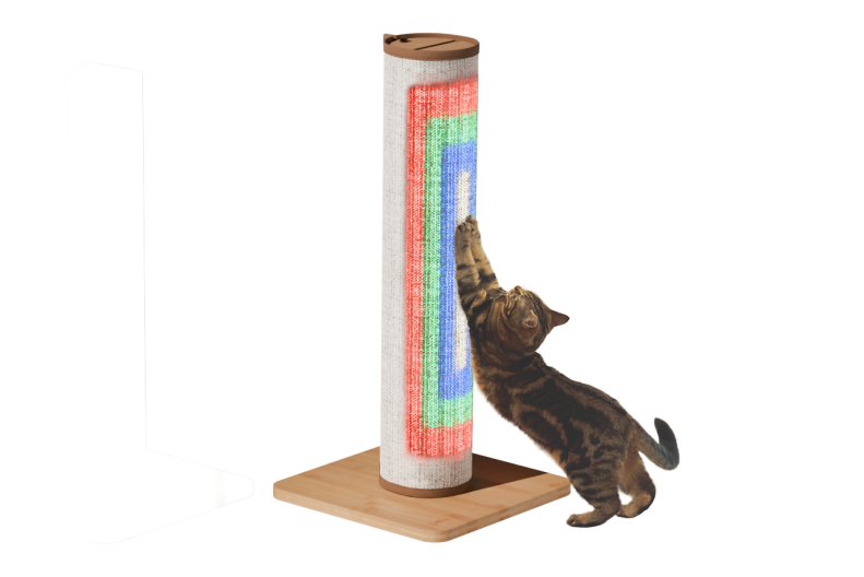 Switch chat jouant avec un griffoir avec lumière led Omlet