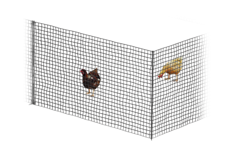 Omlet chicken fencing