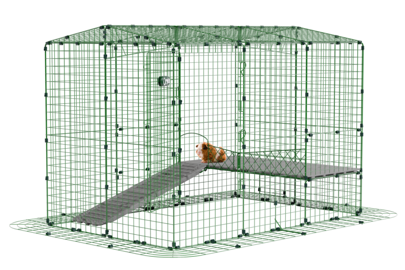 guinea pig in a playpen designed by Omlet