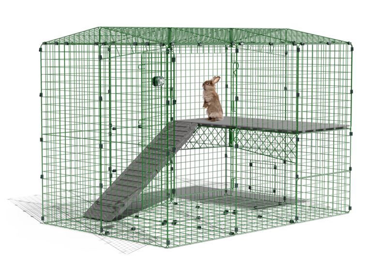 zippi rabbit run