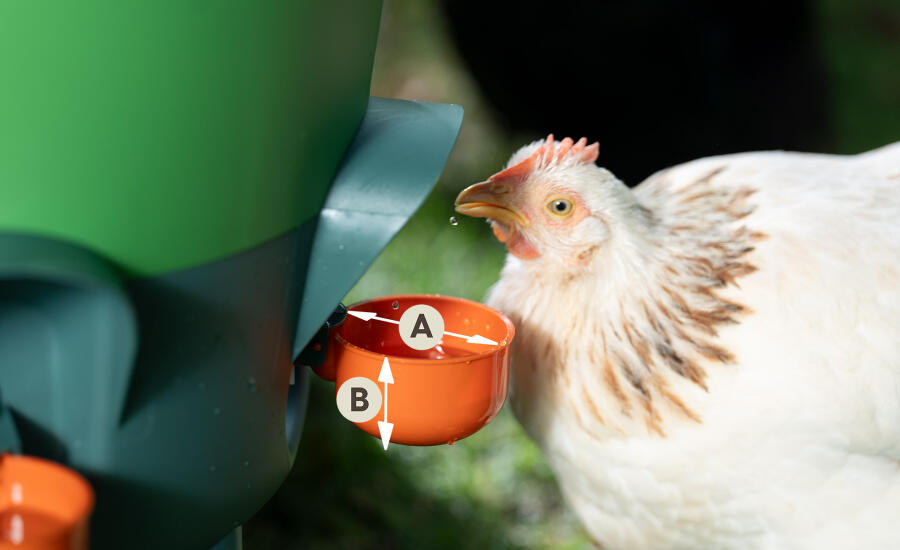 insulated waterer dimensions