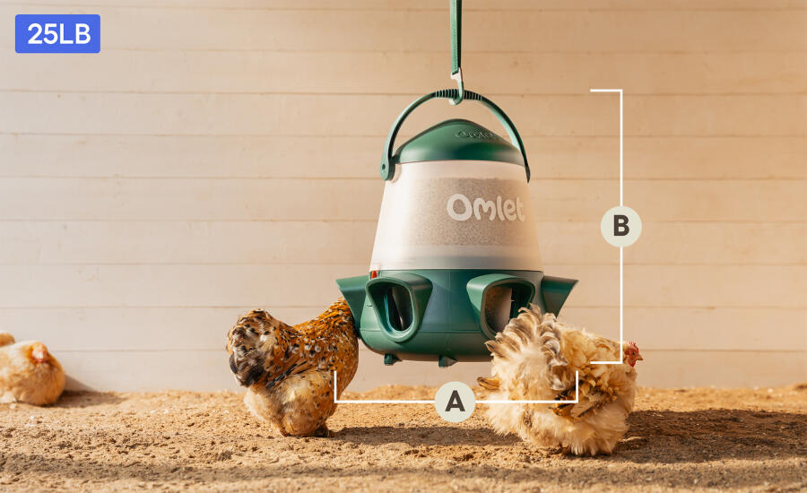 No waste chicken feeder hanging dimensions