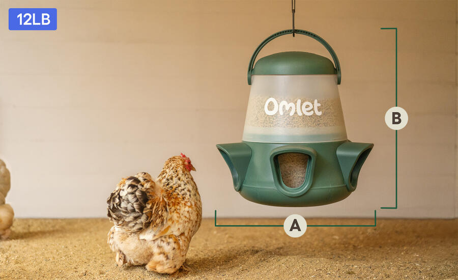 No waste chicken feeder dimensions