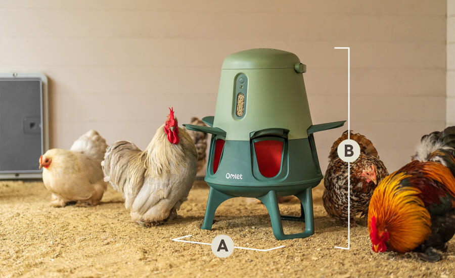 Smart automatic chicken feeder abmessungen