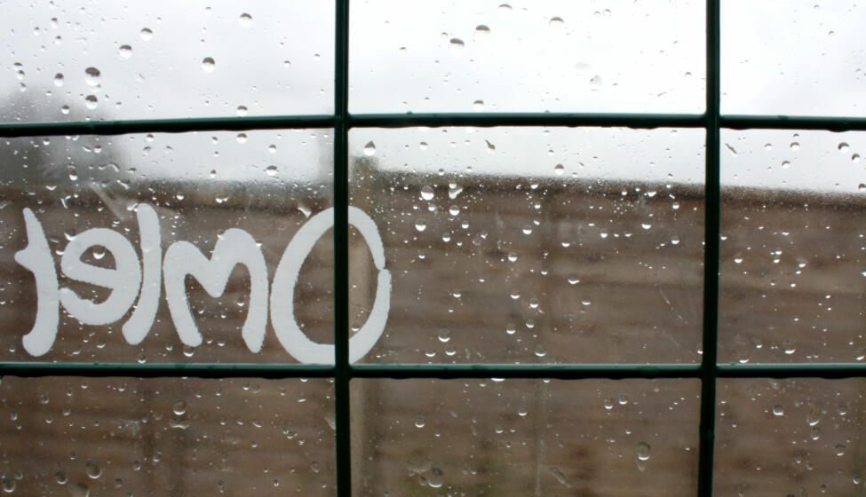Gardez les poules à l'abri de la pluie !