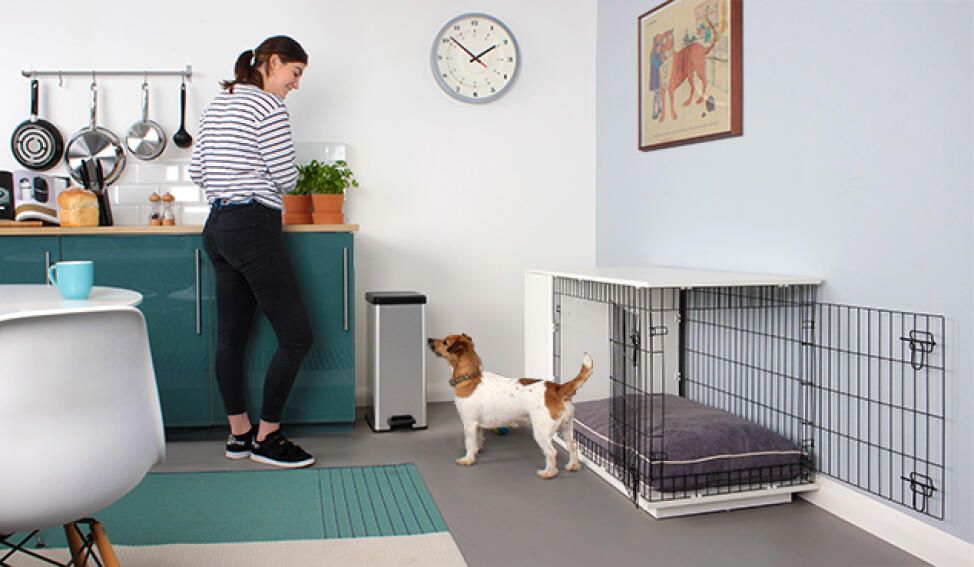 Fido-Studio-dans-une-cuisine