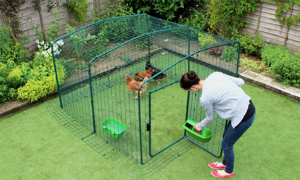 6ft x 6ft x 3ft walk in chicken run - attaching feeder through door