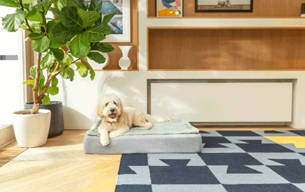 Gif de différents Omlet Topology lits pour chiens avec toppers