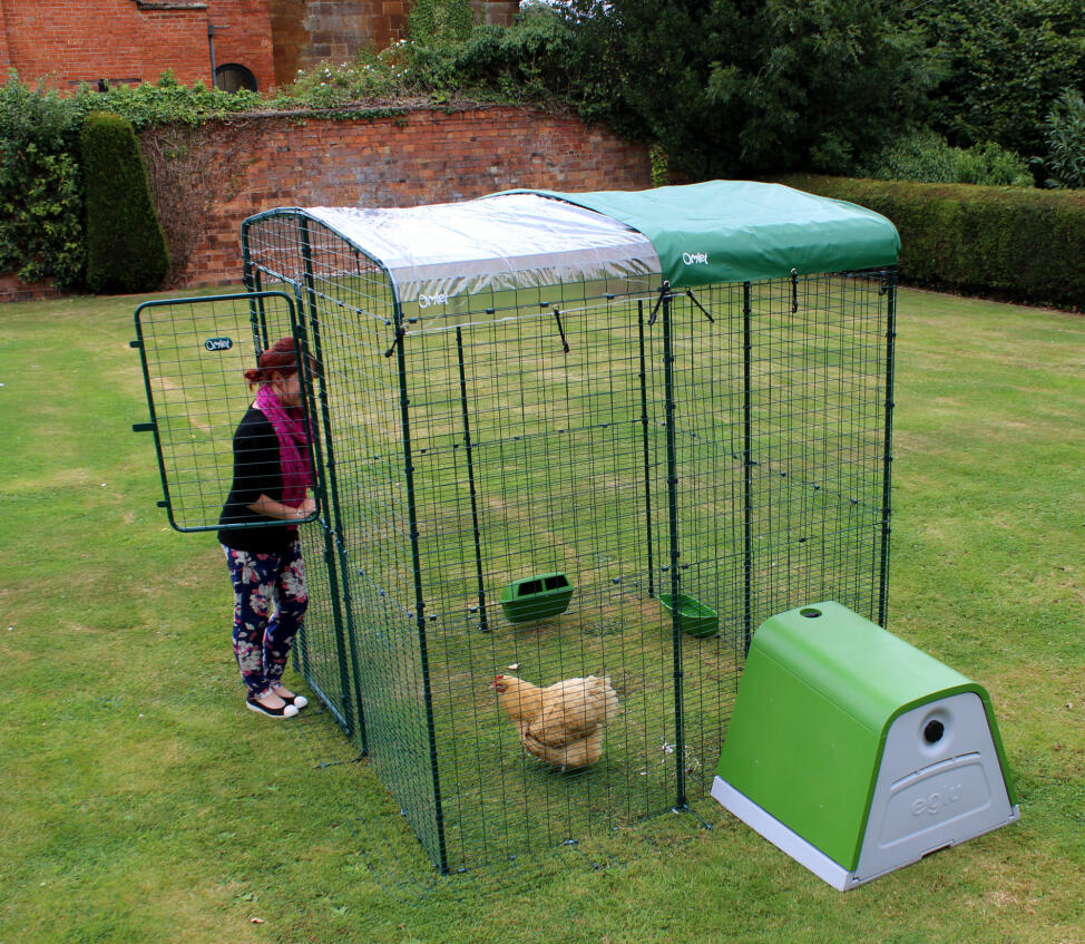 Overlapping multiple covers will keep chickens dry during heavy rain